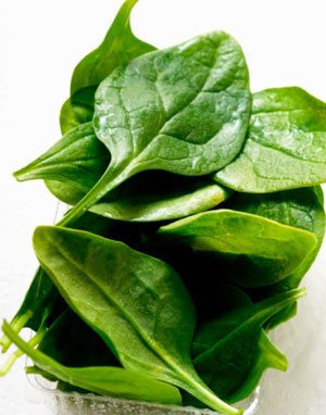 Mồng tơi tính hàn, thích hợp cho mùa hè. Cả Đông và Tây y đều khẳng định loại rau này có tác dụng nhuận tràng