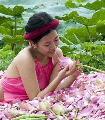 Sen hồng, yếm thắm, mùa Hà Nội