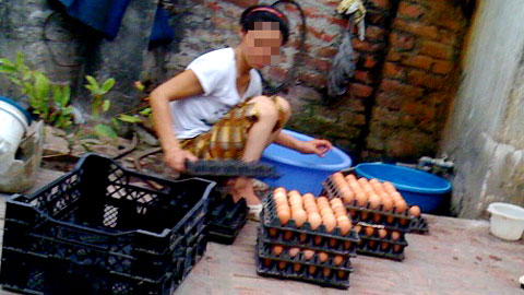 Mô tả ảnh.