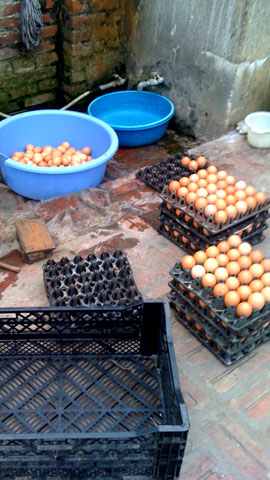 Mô tả ảnh.
