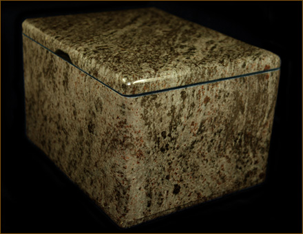 Cận cảnh iPhone đắt nhất thế giới - 4