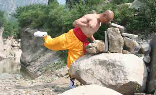 [Image: images229658_3.jpg]