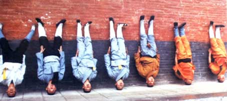 [Image: images229677_6.jpg]