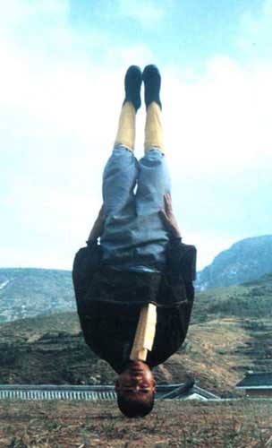 [Image: images229737_7.jpg]