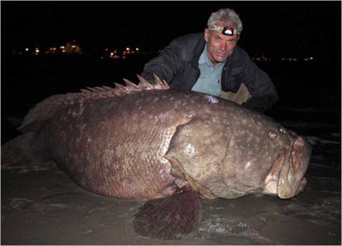 Речные монстры / River monsters Речные монстры / River monsters