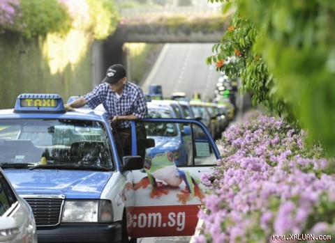 Lái xe taxi