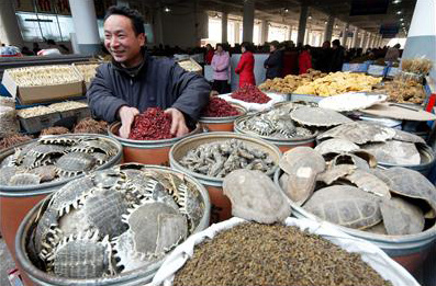 Giá nhiều loại thuốc tại Trung Quốc tăng mạnh những tháng qua. Ảnh: ChinaDaily