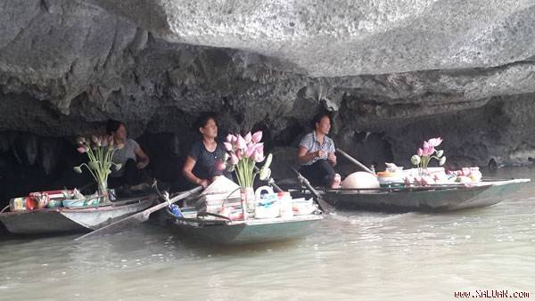 Mùa sen Tam Cốc