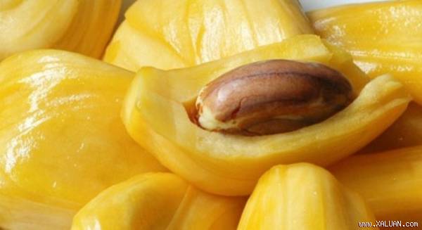 Hạt mít cũng có giá trị dinh dưỡng như các loại hạt và củ khác.