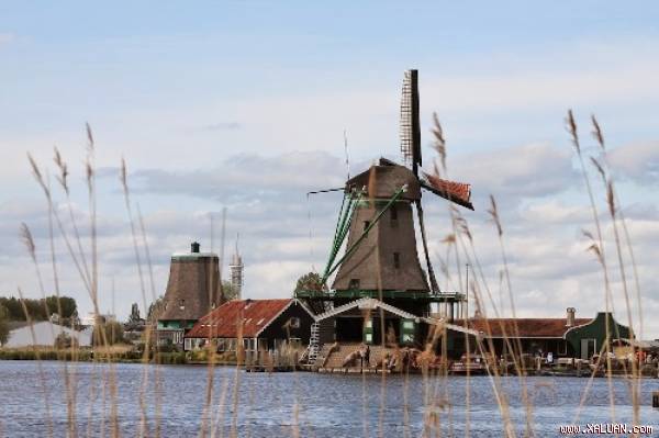 Cối xay gió cổ ở làng Zaanse Schans.