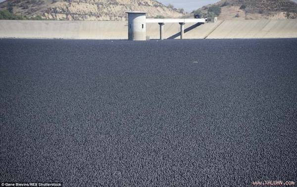 96 triệu quả bóng phủ kín mặt hồ chứa nước