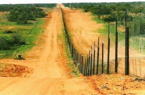 Hàng rào trải dài giúp bảo vệ bầy gia súc khỏi lũ chó săn Dingo hung hăng. Ảnh Wikipedia.