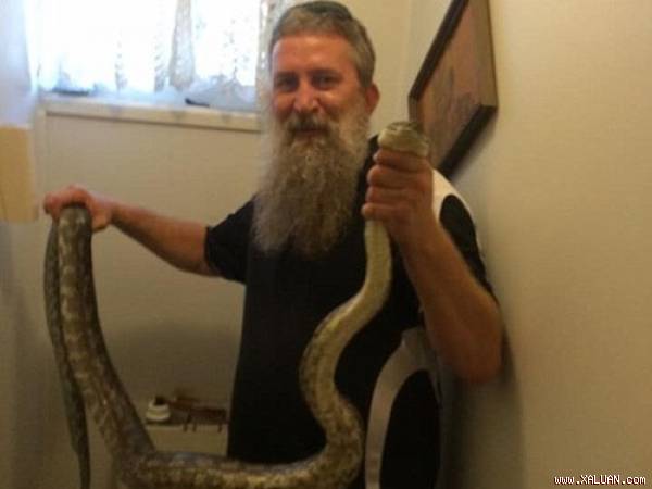 Con trăn khổng lồ dài khoảng 3 m