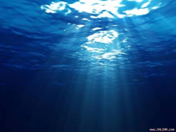 Biến đổi khí hậu đang hủy hoại đại dương. Ảnh minh họa: forwallpaper.com